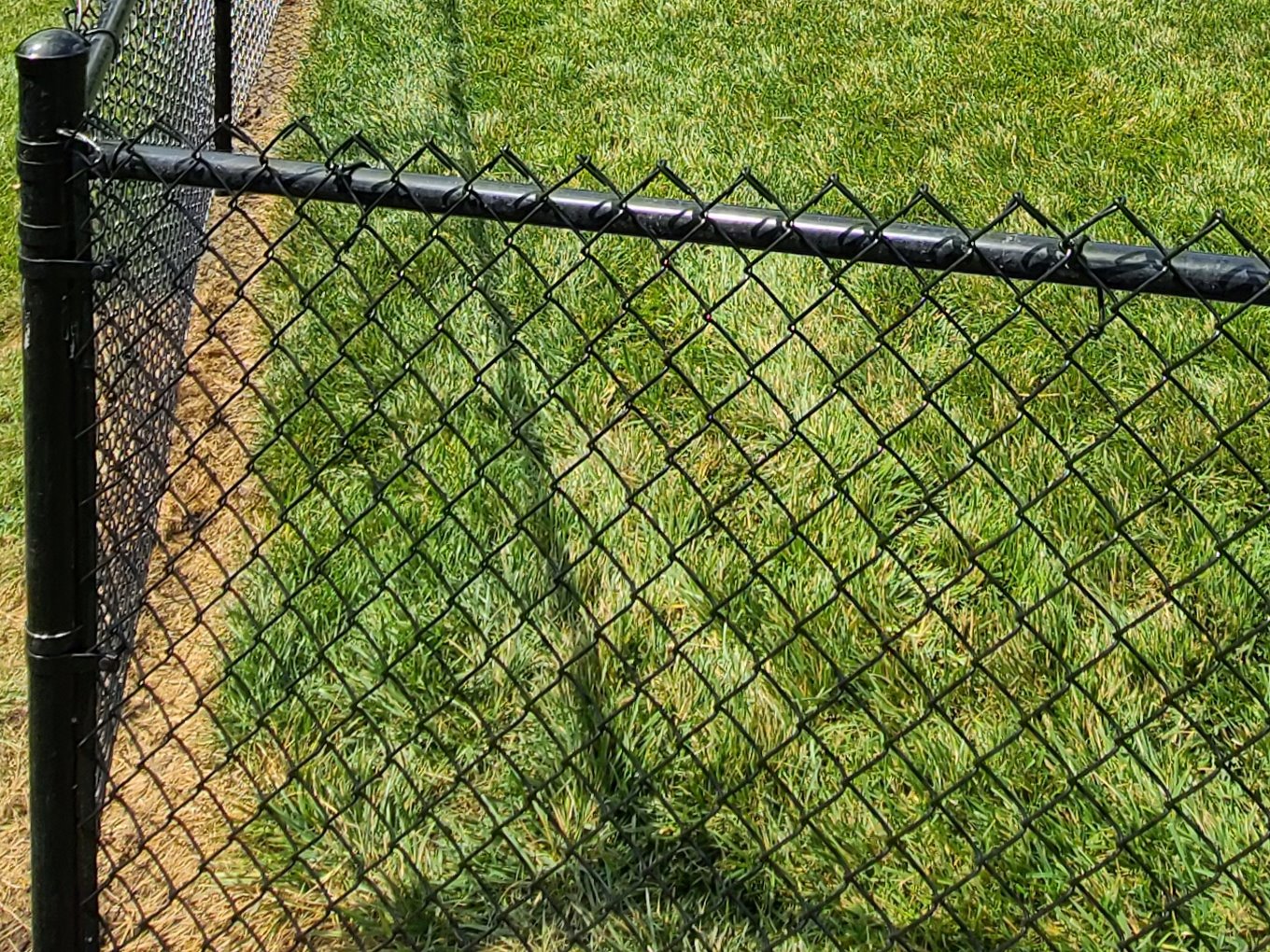 chain link fence Palymyra Nebraska